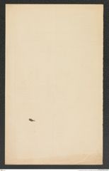 k.k. naturhistorisches Hofmuseum, Intendanzakten 1885-1896 (Hauer), Aktenzahl Z.396/1892, Seite 2